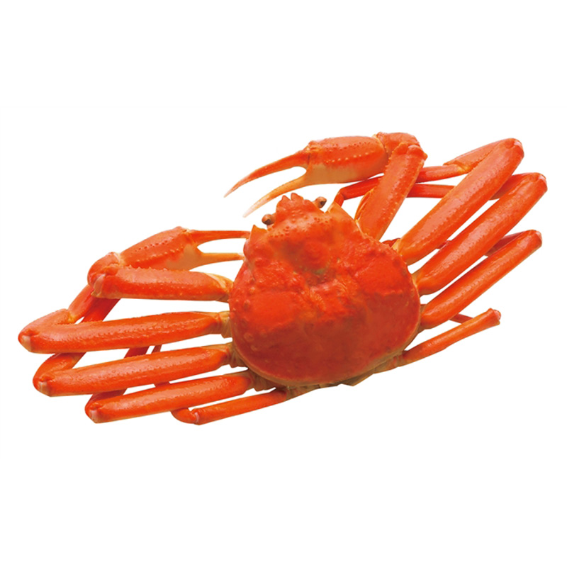 ずわい蟹姿 ぱちキャラ オンライン By大宏 パチキャラグッズ パチンコ景品 卸販売